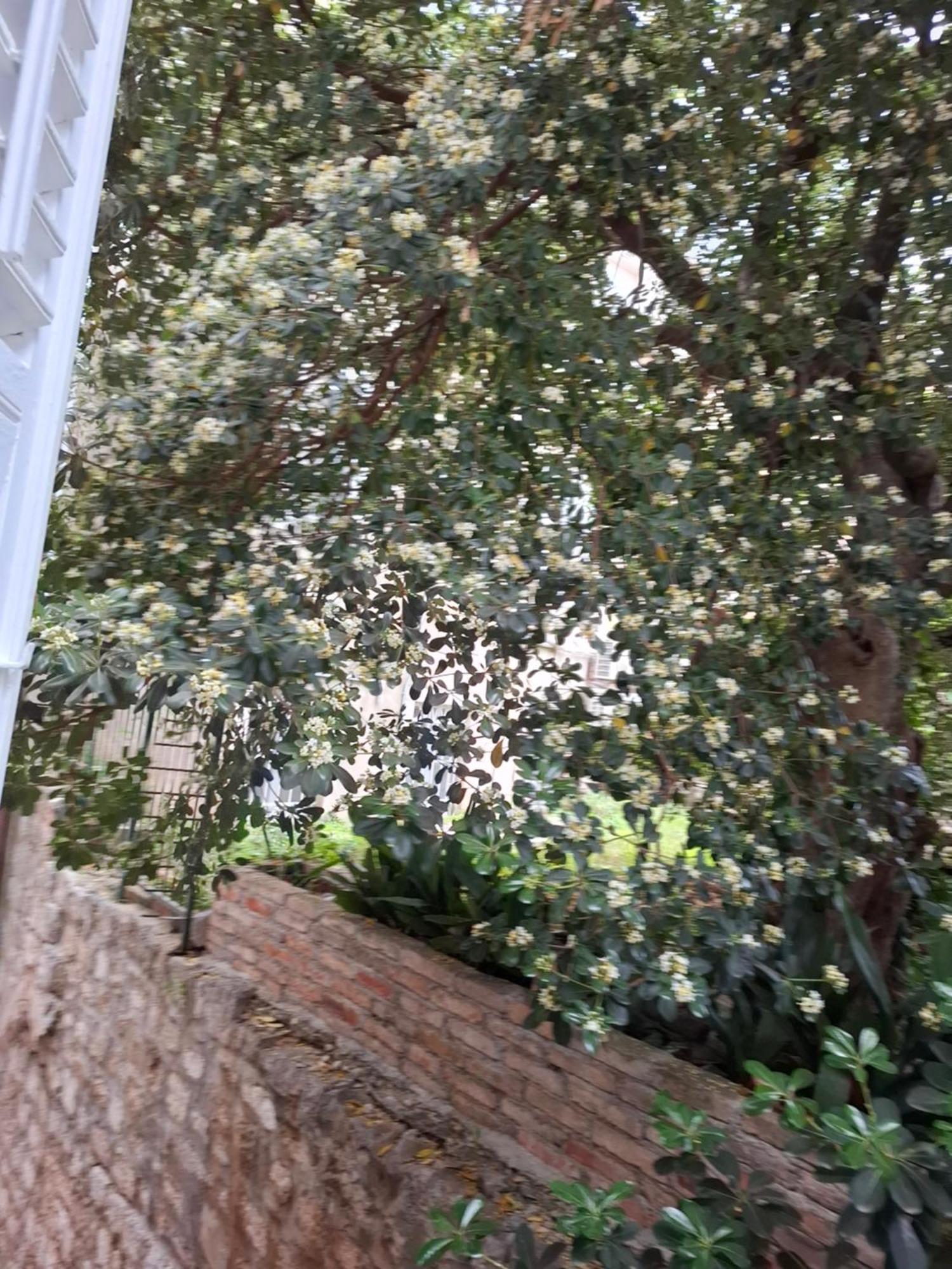 诺埃米一室公寓 杜布罗夫尼克 外观 照片